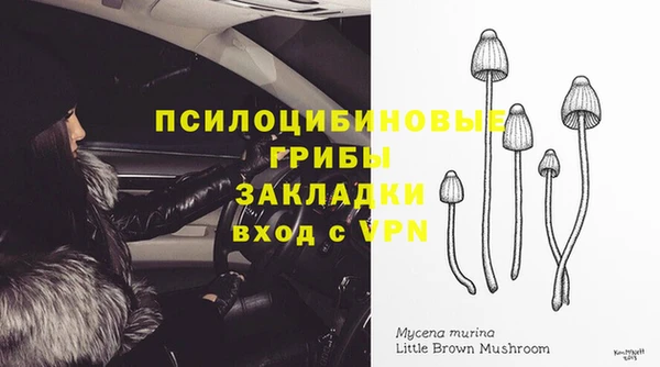 дживик Бугульма