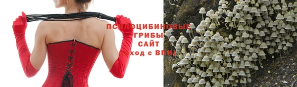 круглые Бородино