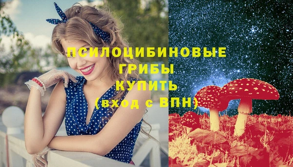 круглые Бородино