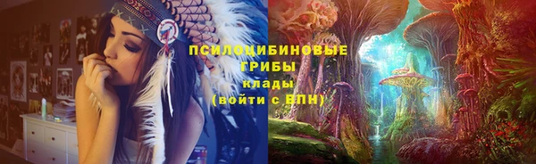 ECSTASY Бронницы