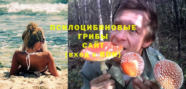 круглые Бородино