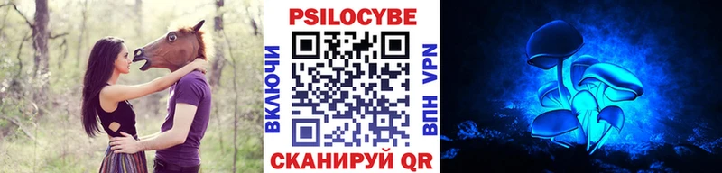 закладки  Хасавюрт  Псилоцибиновые грибы ЛСД 